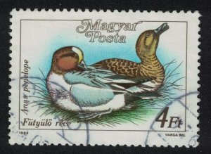 Hungary European Wigeon 'Anas penelope' Bird Wild Duck 2Ft 1988 Canc