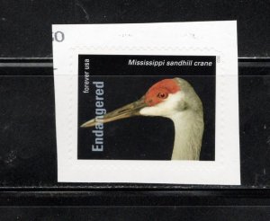 United States 2023 Sc#5799t Mississippi Sandhill Crane Used