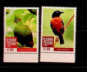 SIERRA LEONE Sc 3747-8 NH ISSUE OF 2016 - BIRDS