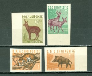 ALBANIA 1962 IMPERFS ANIMALS #639-642...SET MNH