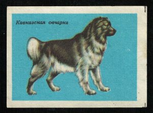 Dog breed: Caucasian Shepherd Dog, Matchbox Label Stamp (ST-49)