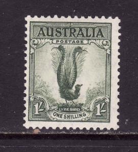 Australia-Sc.#175a-unused hinge-1sh Lyrebird-perf 13.5 x 14-1941-