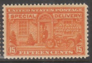 U.S. Scott #E16 Special Delivery Stamp - Mint Single