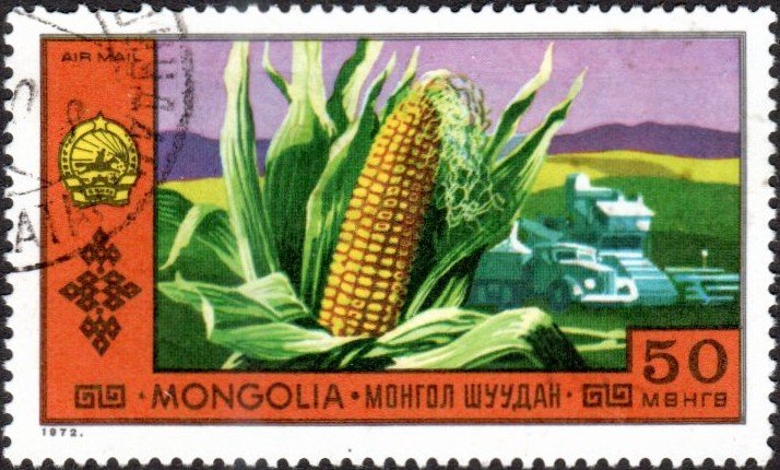 Mongolia C19 - Cto - 50m Corn / Farm Machinery (1972)