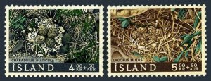 Iceland B21-B22, MNH. Michel 413-414. Ringed Plovers, Rock ptarmigans nest.1967.