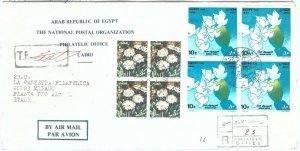 73959 - EGYPT  - POSTAL HISTORY - OFFICIAL FDC COVER  with INFORMATION  1989