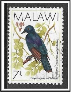 Malawi #521 Chestnut-winged Starling Used