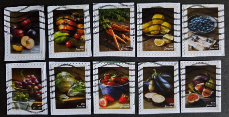 US 5484-5493 (2020 Fruits & Vegetables)