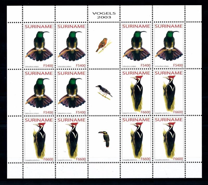 [SUV1211] Surinam 2003 Birds Vögel Oiseaux  Miniature sheet with labels MNH