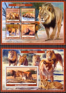 Burkina Faso 2019 Wild Big Cats Lions Sheet + S/S MNH