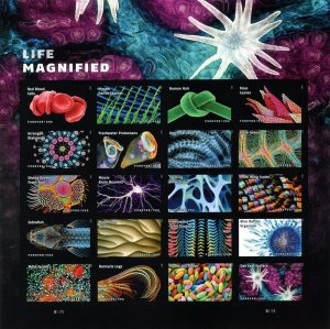 NDC 2023LIFE MAGNIFIED #5802u-5802ao MINT IMPERF PANE, NO DIE CUTS, VF