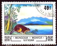 Beaver, Lake Hovd, Mongolia SC#1302 used