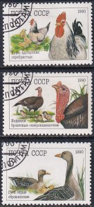 Russia 1990 Sc 5909-11 Birds Poultry Geese Rooster Hen Turkeys Chicks Stamp CTO