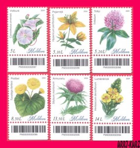 MOLDOVA 2024 Flora Plants Wild Flowers 6v MNH