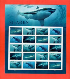 5223-37 Sharks - MNH