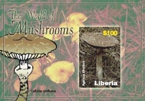 Liberia 2006 - MUSHROOMS - Souvenir Stamp Sheet - Scott #2462 - MNH