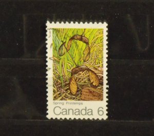 14592   CANADA   Used # 535ii     Error - Green Frog on Leaf       CV$ 0.50