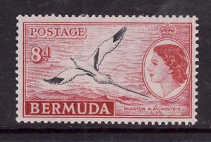 Bermuda-Sc #153-unused hinged-8p red & blk-QEII-Tropic Bird-1955-