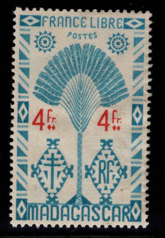 Madagascar Malagasy Scott 251 MH* Traveler's Palm tree 1943