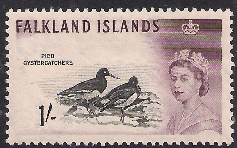 Falkland Islands 1960 - 66 QE2 1/-d Magellanic Oystercatcher Umm SG 202 ( J103 )