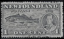 NEWFOUNDLAND #233 USED (1)