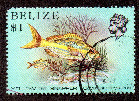 BELIZE 711 USED BIN $1.00 MARINE LIFE