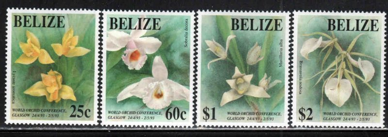 Belize # 1009-12 ~ Cplt Set of 4 ~ Orchids ~ Unused, HM