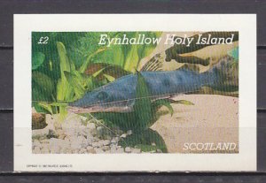 Eynhallow, 1972 issue. Blue Fish s/sheet.