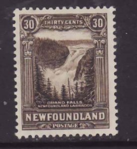 Newfoundland-Sc#182- id21-unused og small hinge remnant 30c olive brown Grand