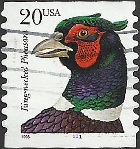 P.N.C. 1111 # 3055 USED RING-NECKED PHEASANT