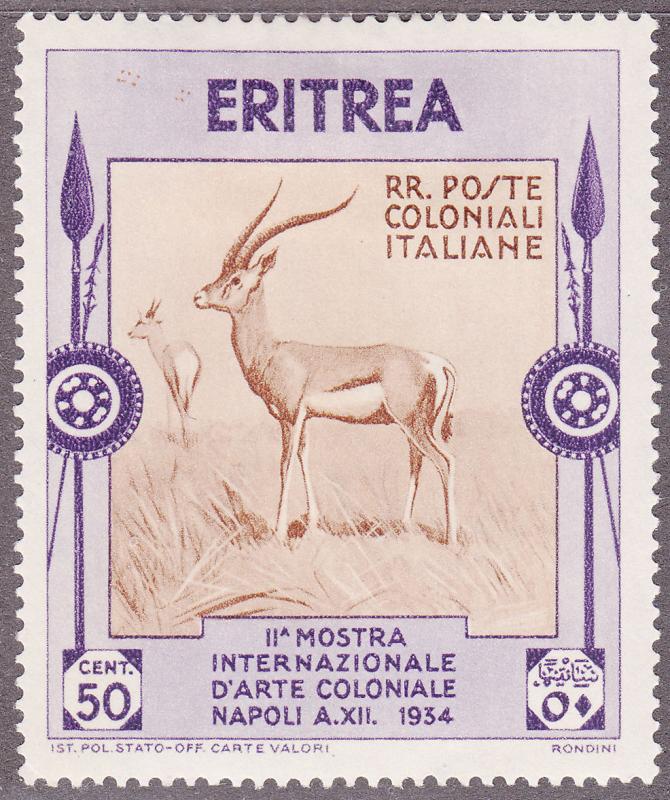 Eritrea 178 Grant's Gazelle