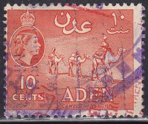 Aden 49a Camel Transport 1953