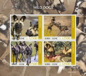 Sierra Leone - 2019 African Wild Dogs - 4 Stamp Sheet - SRL190715a