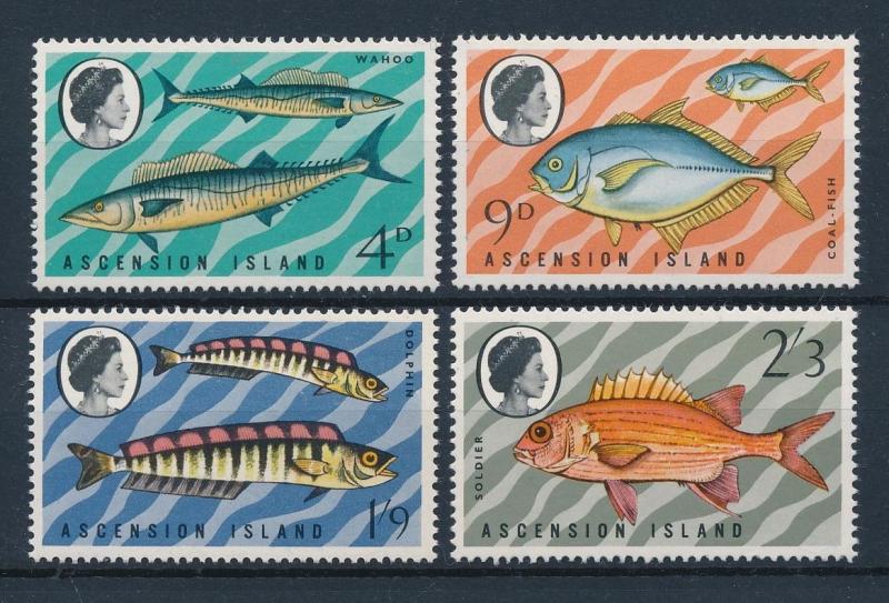 [47157] Ascension 1970 Marine life Fish MNH