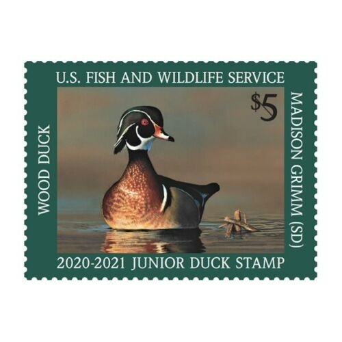 Mac's - JDS28 2020-21 US Junior Duck Stamp Mint OG NH VF Centering FREE Mount 