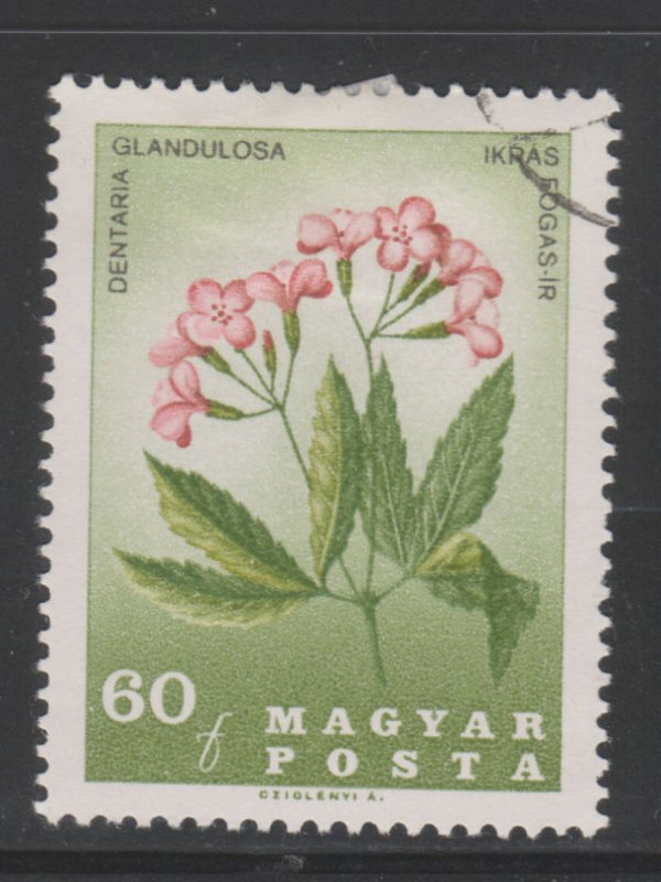 Hungary 1812 Dentaria Glandulosa 1967
