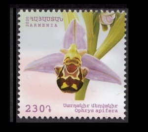 ARMENIA 2020 FLOWERS ORCHIDS BLUMEN FLEURS