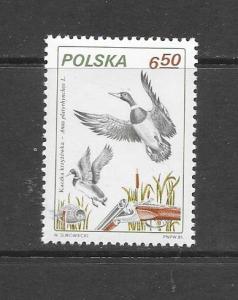 BIRDS - POLAND #2455-FEN DUCK  MNH