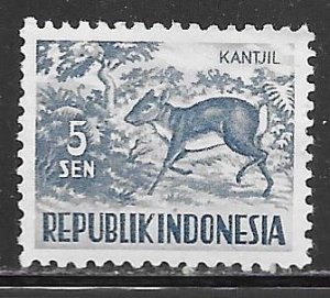 Indonesia 424: 5s Lesser Malay Chevrotain, MH, F-VF