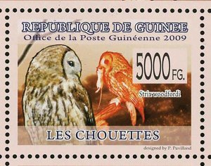 Owls Stamp Bird Tyto Alba Strix Woodfordi Strix Aluco S/S MNH #6424-6429