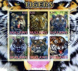 Malawi 2008 Tigers Sheet Perforated CTO Fine used