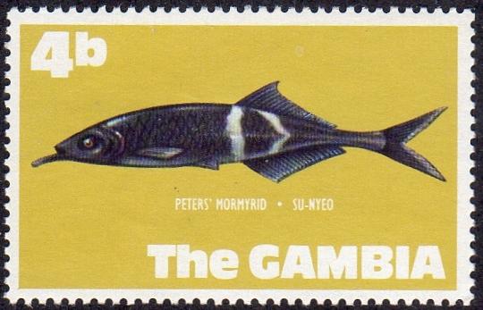 Gambia 254- Mint-H - 4b Peter's Marmyrid (1971) (cv $0.30)