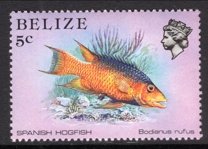 Belize 703 Fish MNH VF