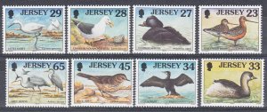 Jersey 1998 Sea Birds (part 4)  -  NHM