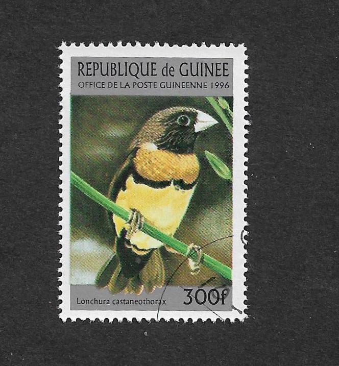 GUINEA 1996 BIRDS 300F USED