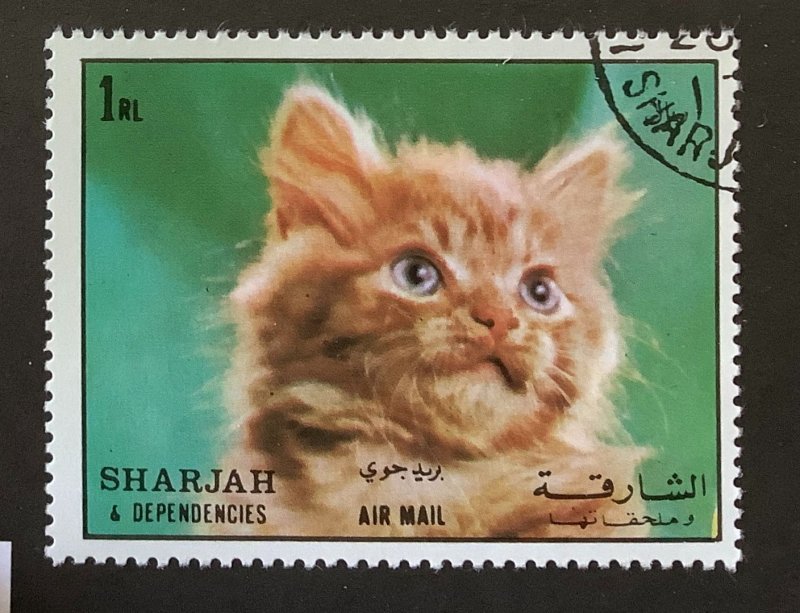 Sharjah 1972 Mi 1290 CTO - 1r, Kitten,  Felis silvestris catus