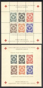 POLAND SCARCE 1945 Red Cross Sheets - Perf and Imperf