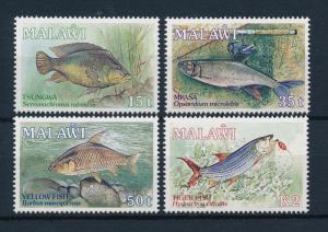 [50861] Malawi 1989 Marine life Fish MNH