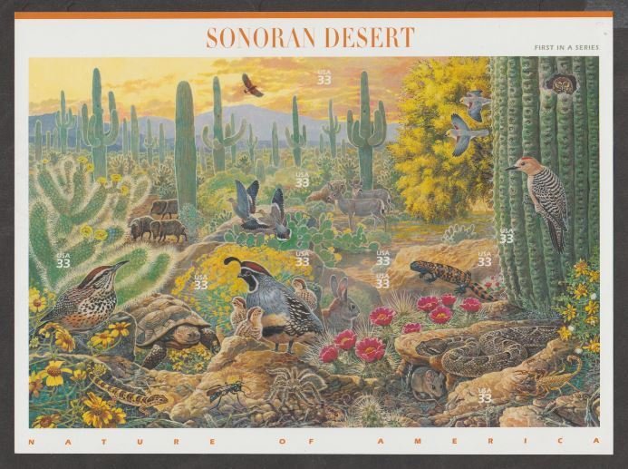 U.S. Scott #3293 Sonoran Desert Stamps - Mint NH Sheet