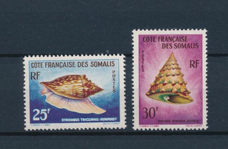 [58961] French Somali Coast 1962 Marine life Sea shells from set MNH